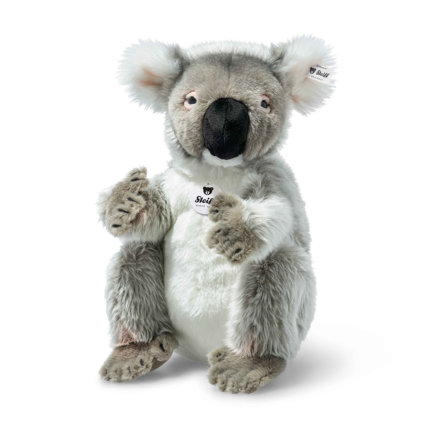 Colo Koala