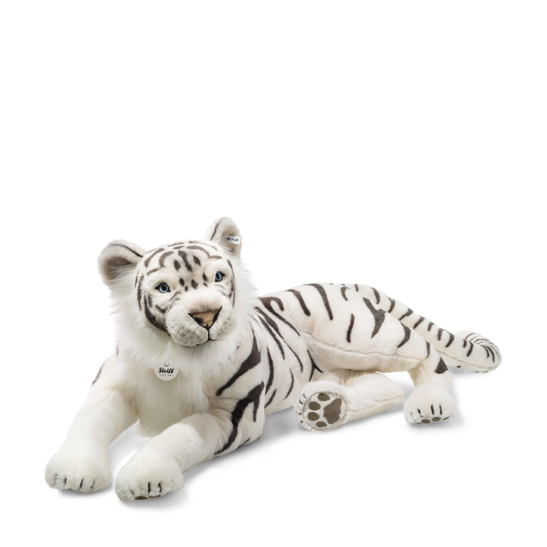 Tuhin, le tigre blanc